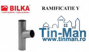 11 RAMIFICATIE Y burlane timisoara