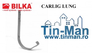 4 CARLIG CAPRIOR  jgheaburi Timisoara