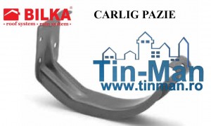 5 CARLIG APLICAT  jgheaburi Timisoara